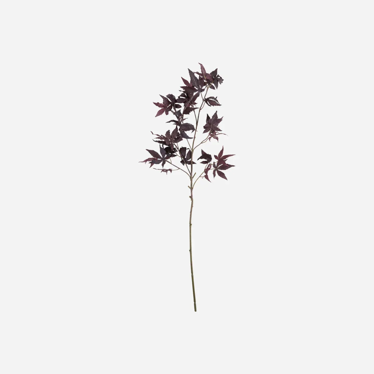 Artificial branch, HDMaple, Bordeaux