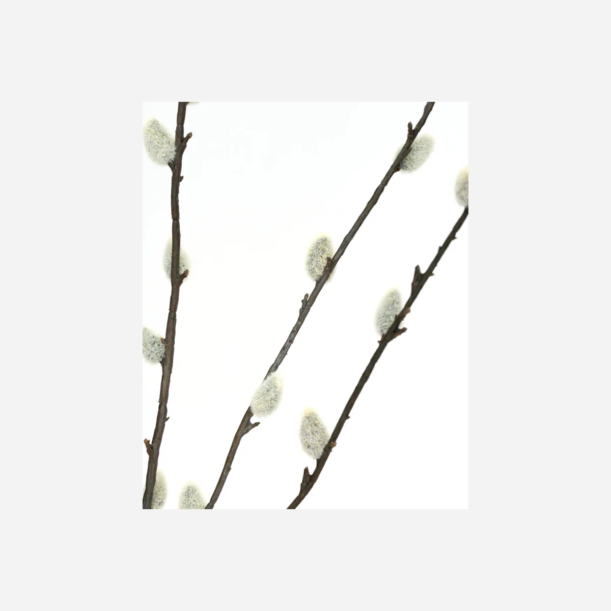 Artificial branch, HDSalix, Grøn - Image 3