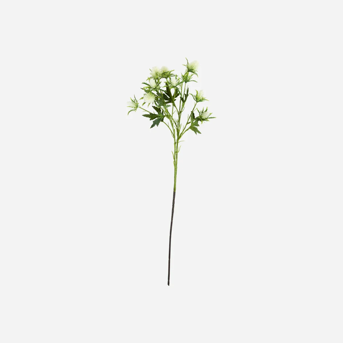 Artificial flower, HDEryngium, Hvid