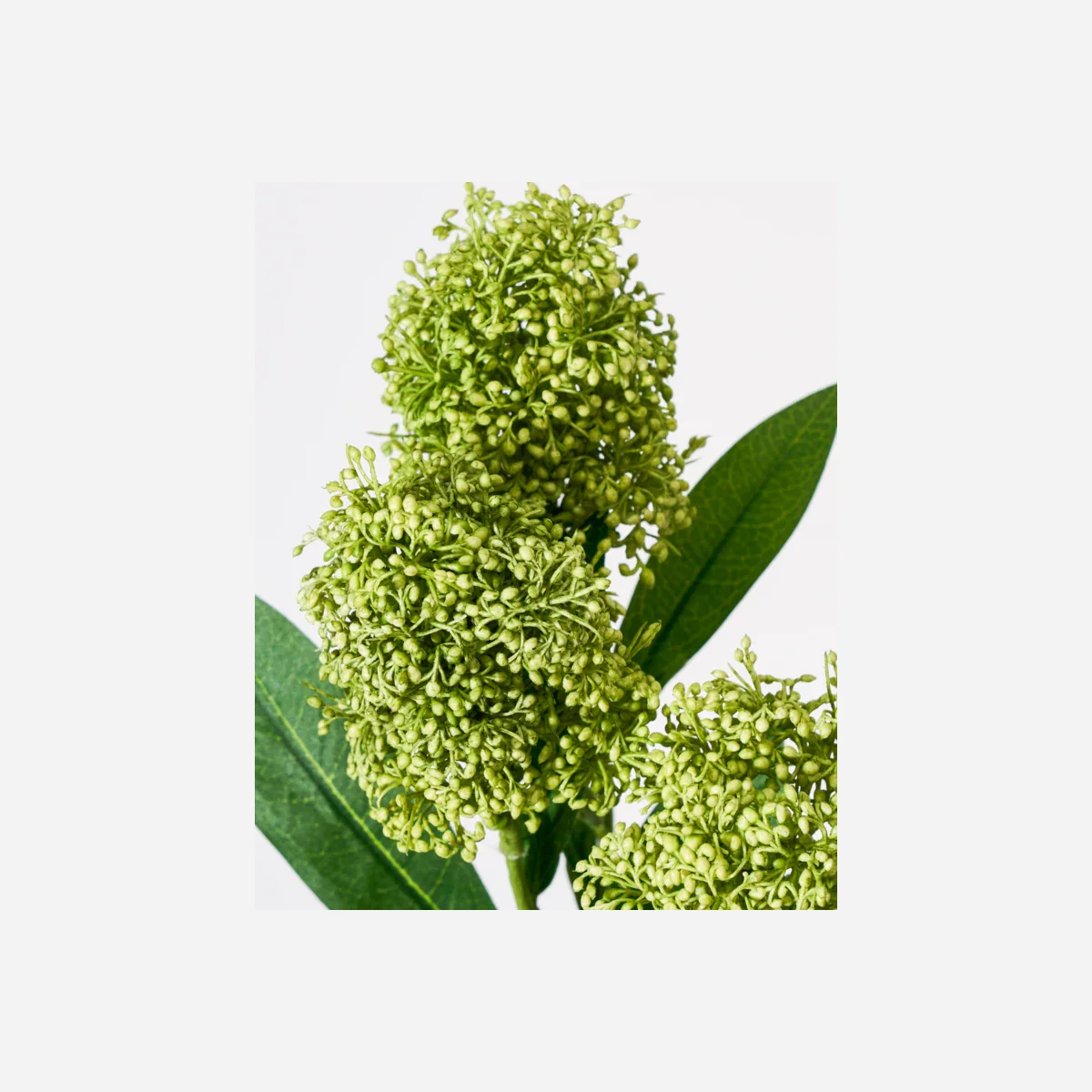 Artificial flower, HDSkimmia, Grøn - Image 3