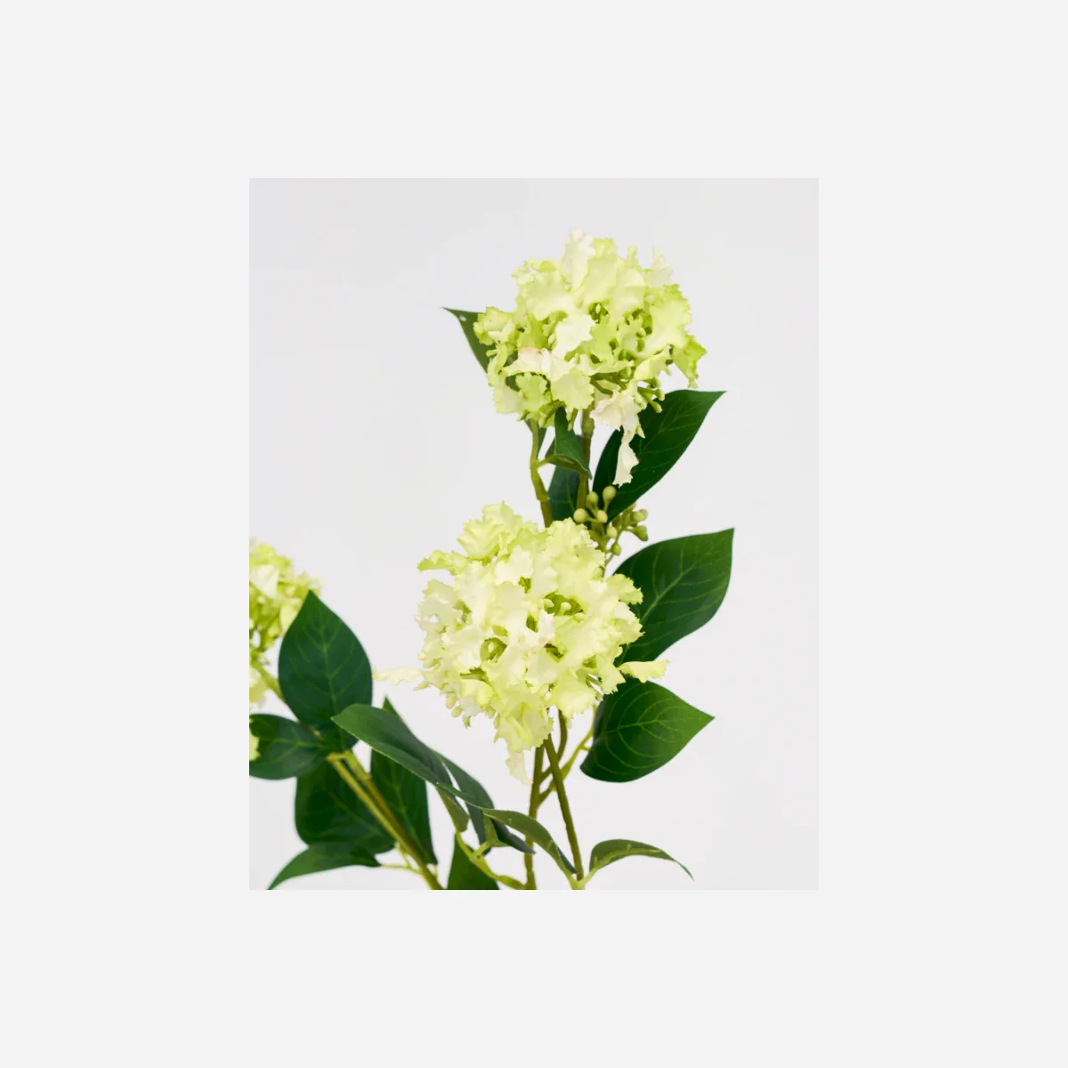 Artificial flower, HDViburnum, Grøn - Image 3