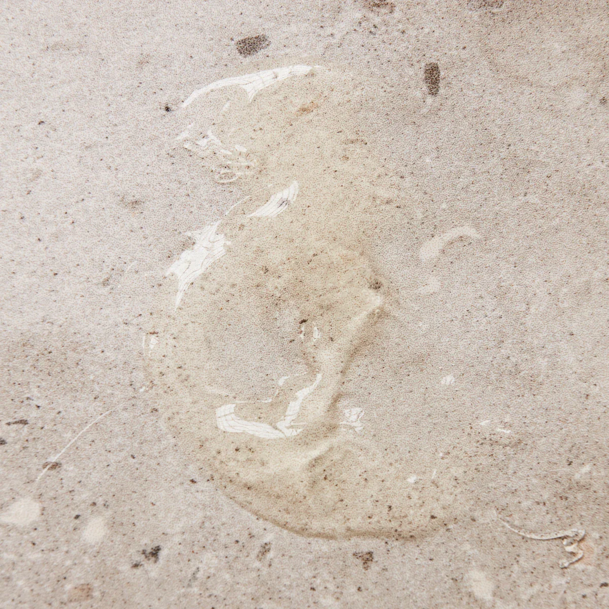 Hand soap, Meadow bliss - Image 3