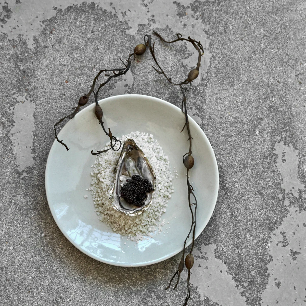 Frokosttallerken, HDDiva, Lyseblå - Image 2