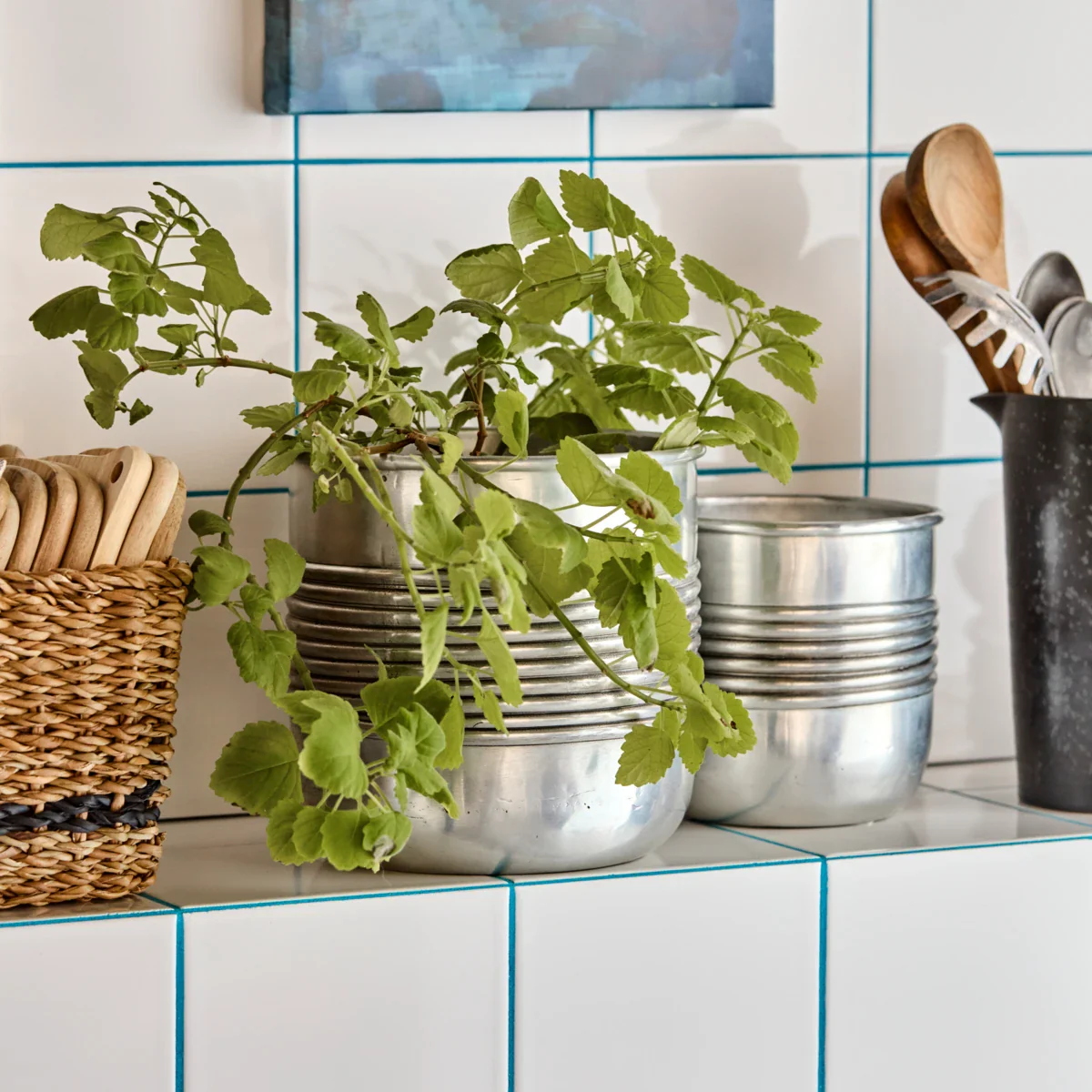 Plante, HDGroove, Antik sølvfinish - Image 2