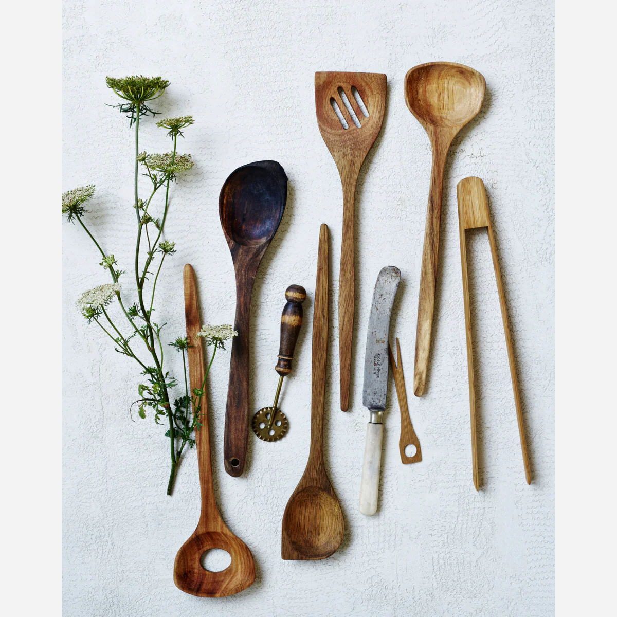 NVSpatula, Natur - Image 2