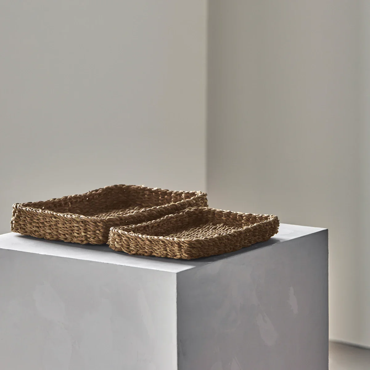 Bakker, MKTrays, Natur - Image 2