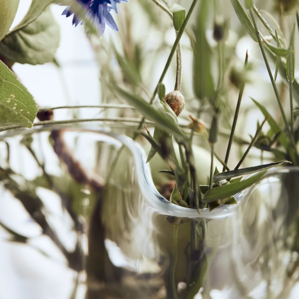 Vase, HDPlis, Klar - Image 3